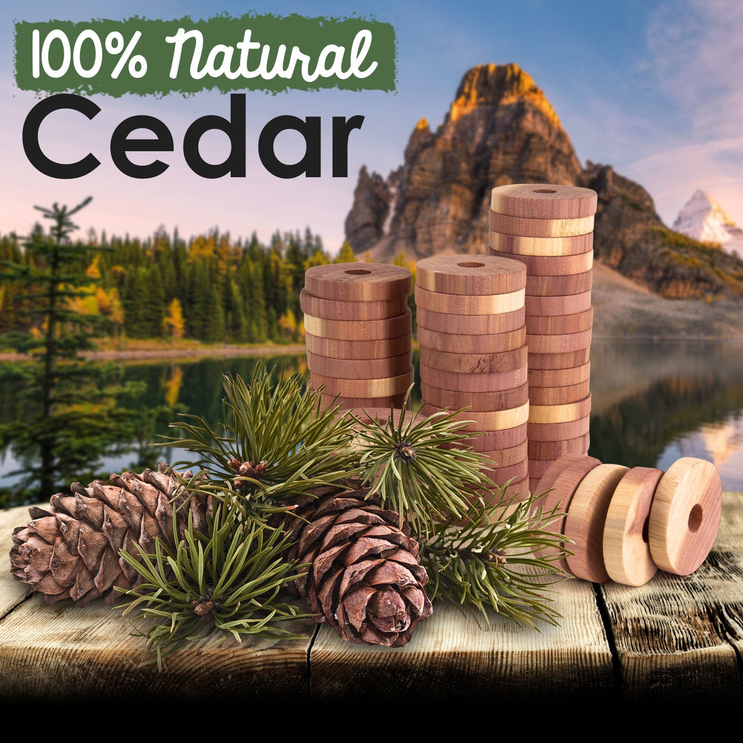 Cedar Rings