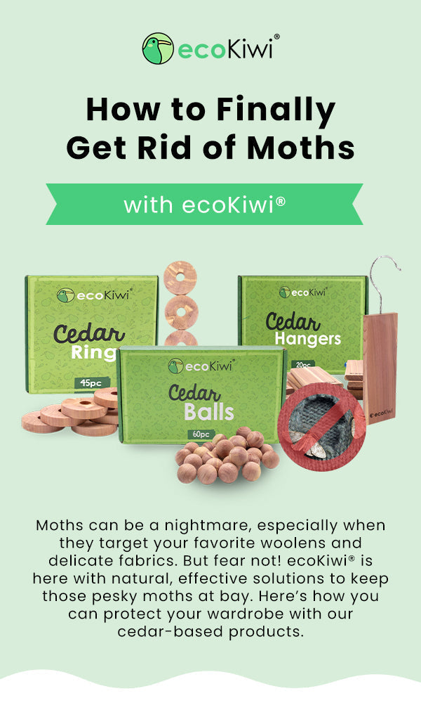 100% Cedar Rings: The Natural Solution for Fresh, Moth-Free Wardrobes